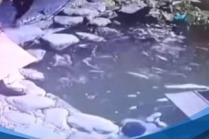 鲁媒发韩鹏昔日救人视频：2020年韩鹏10秒捞起落水男童